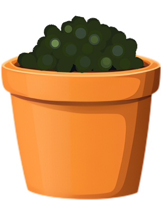 Pot with soil