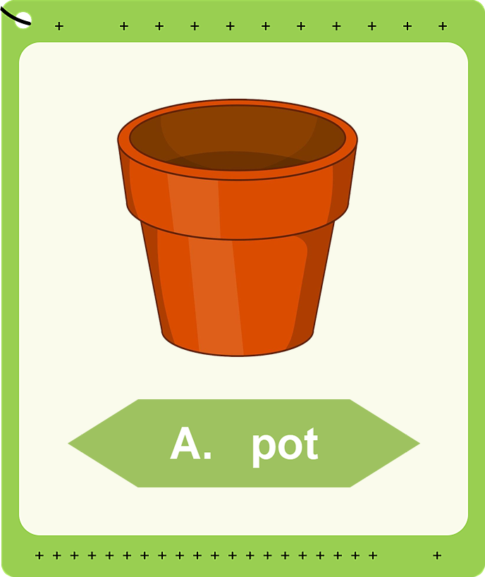 Pot