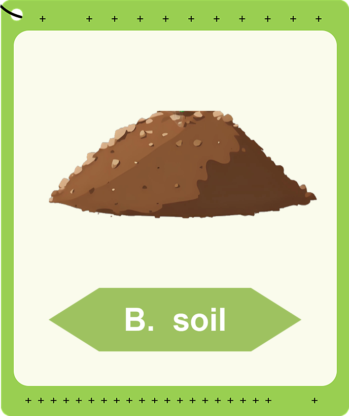 Soil